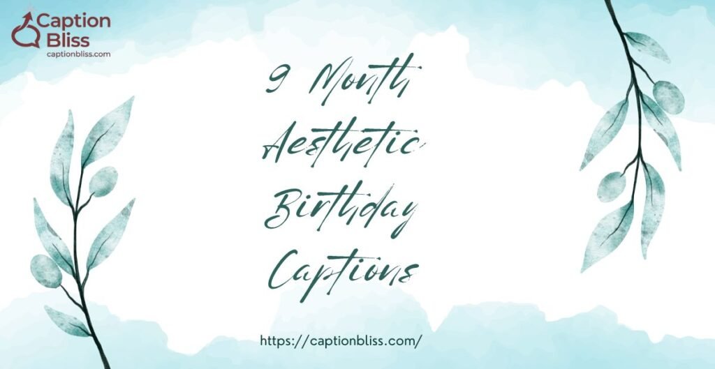 9 Month Aesthetic Birthday Captions