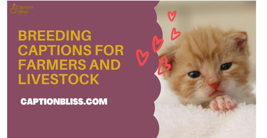 Breeding Captions for Farmers and Livestock