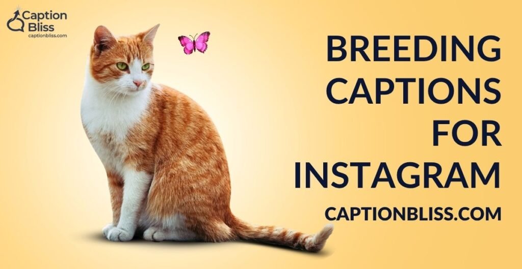 Breeding Captions for Instagram