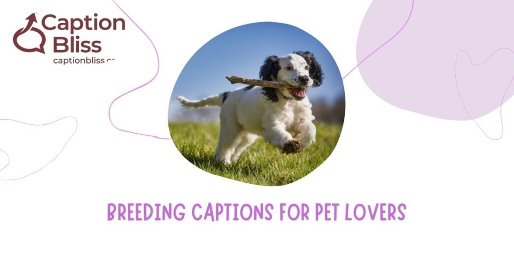 Breeding Captions for Pet Lovers