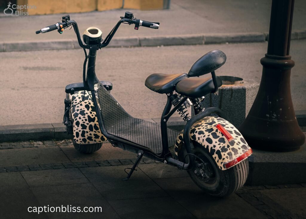 Electric Scooter With Seat