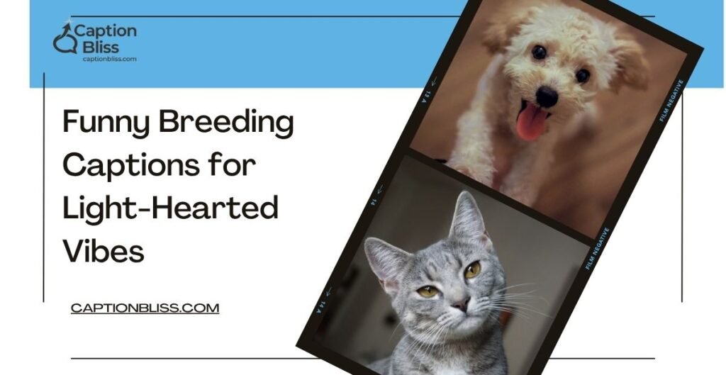 Funny Breeding Captions for Light-Hearted Vibes