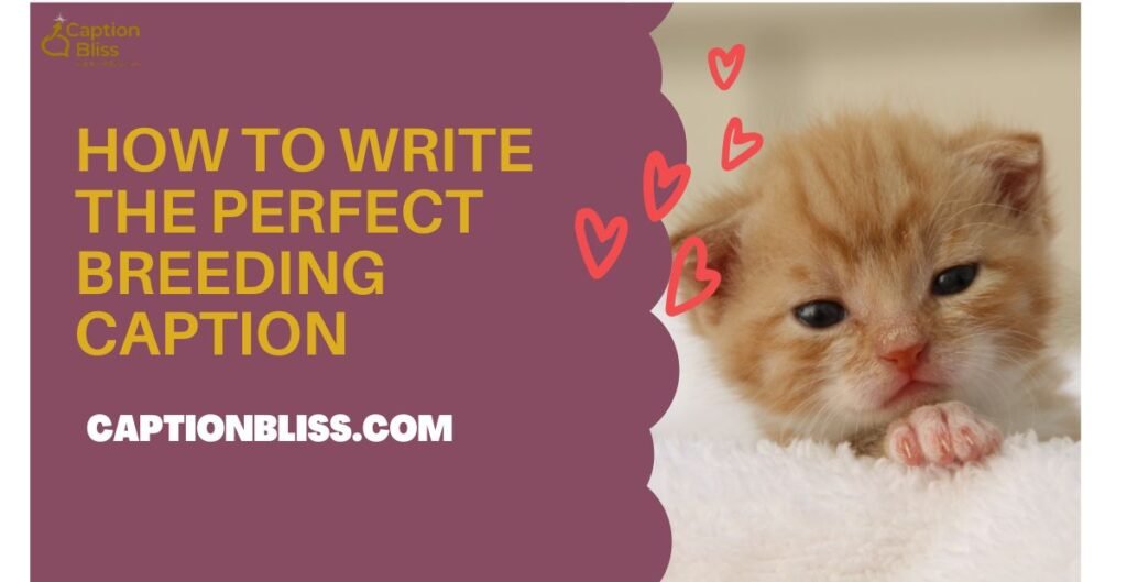 How to Write the Perfect Breeding Caption