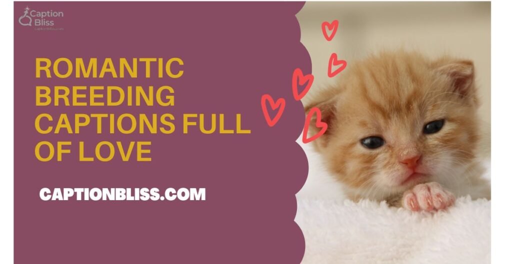 Romantic Breeding Captions Full of Love