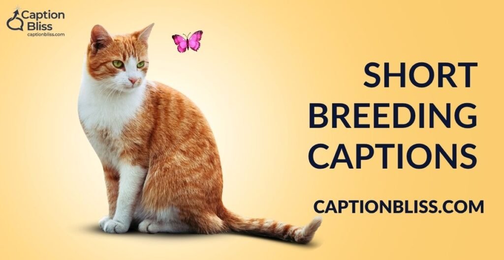 Short Breeding Captions