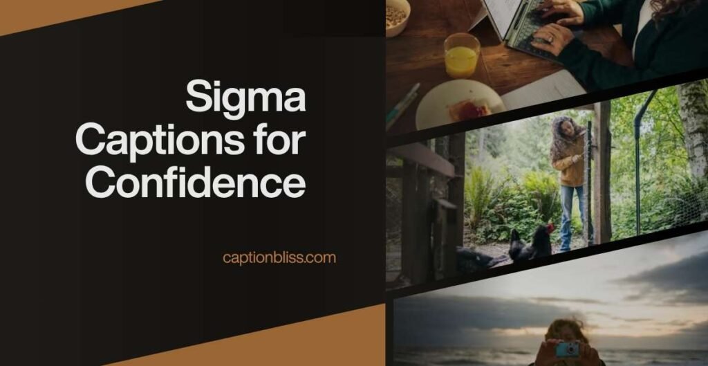 Sigma Captions for Confidence