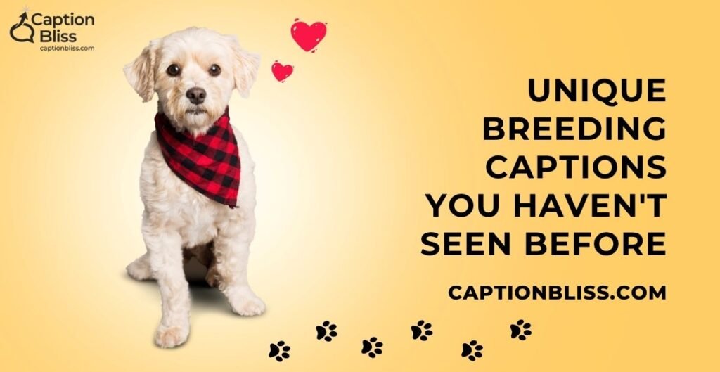 Unique Breeding Captions You Haven't Seen Before