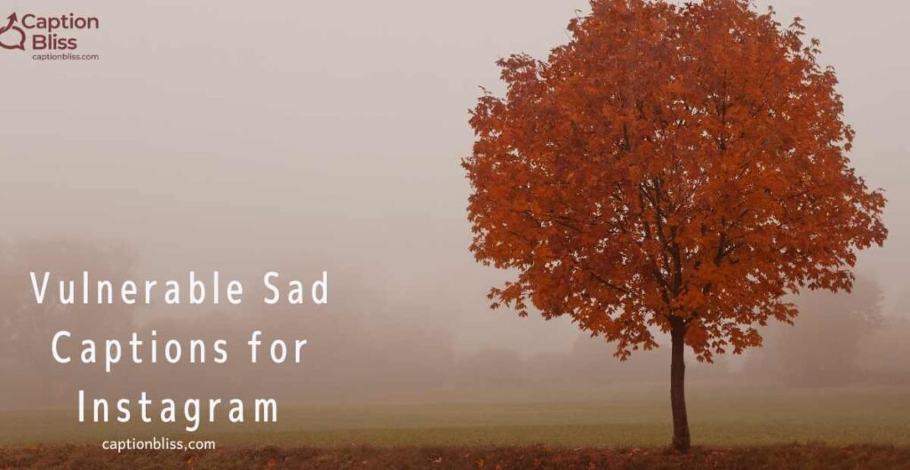 Vulnerable Sad Captions for Instagram