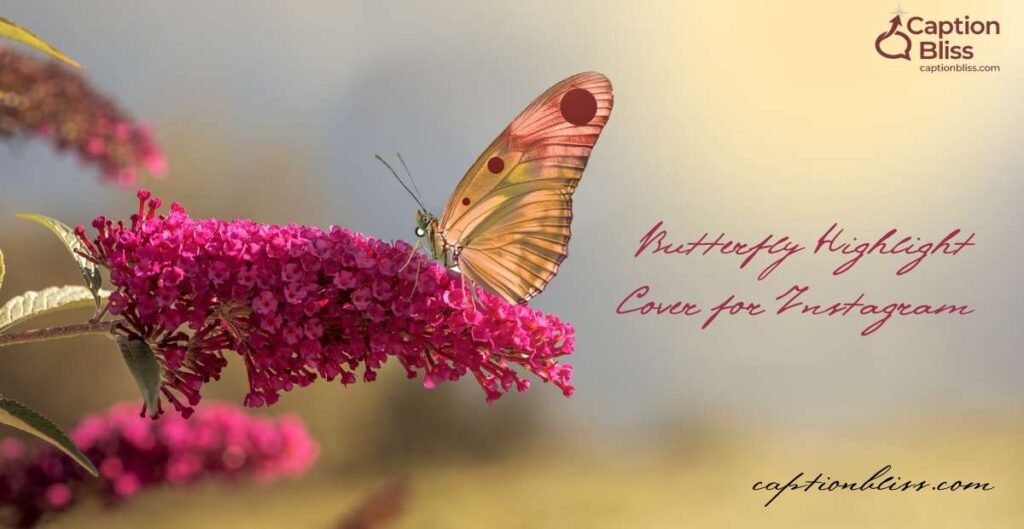 Butterfly Highlight Cover for Instagram
