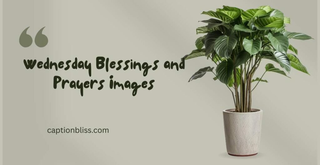 Wednesday Blessings and Prayers Images
