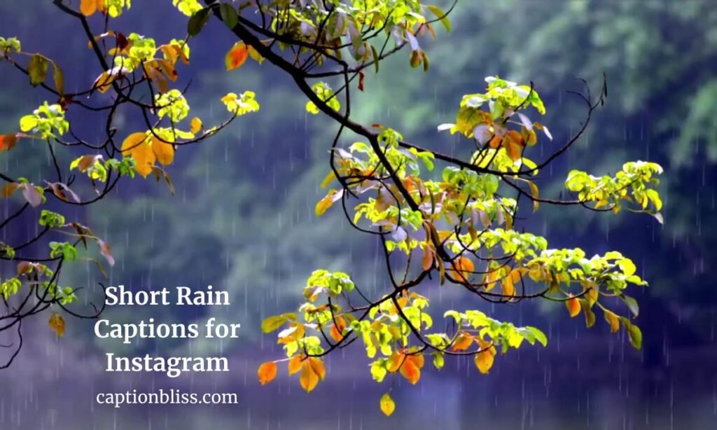 Short Rain Captions for Instagram