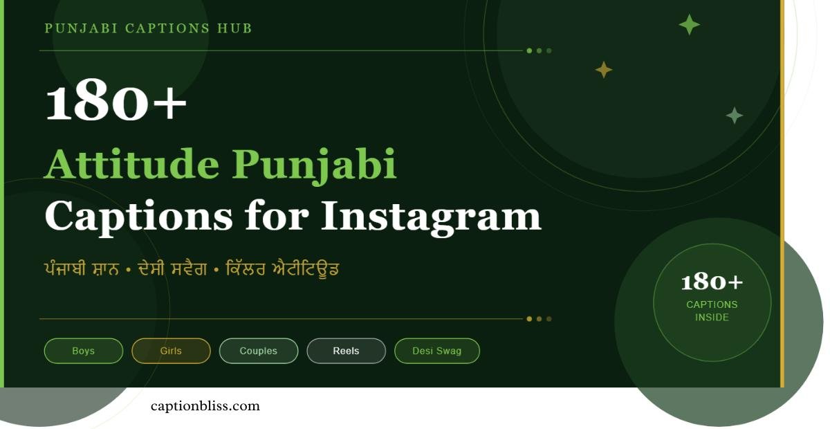 180+ Attitude Punjabi Captions for Instagram