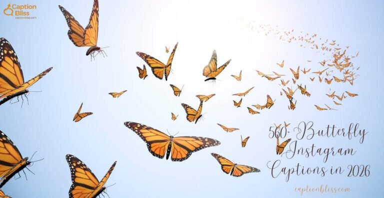 560+ Butterfly Instagram Captions in 2026