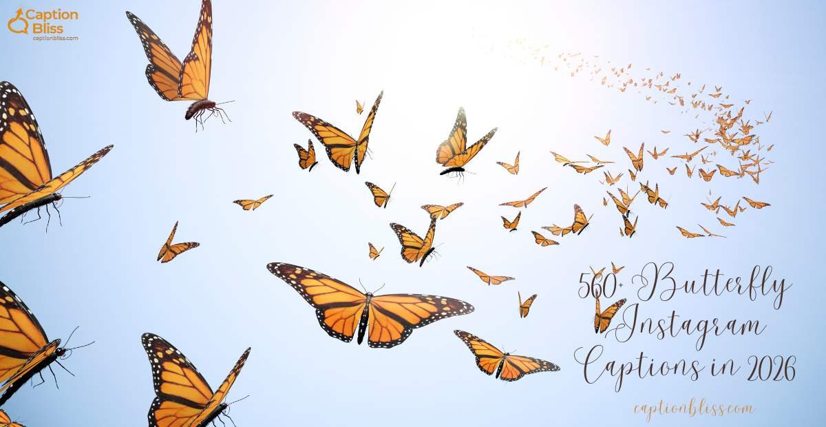 560+ Butterfly Instagram Captions in 2026