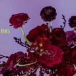 Hotpast Captions 90+ Sizzling Ideas to Ignite Passion