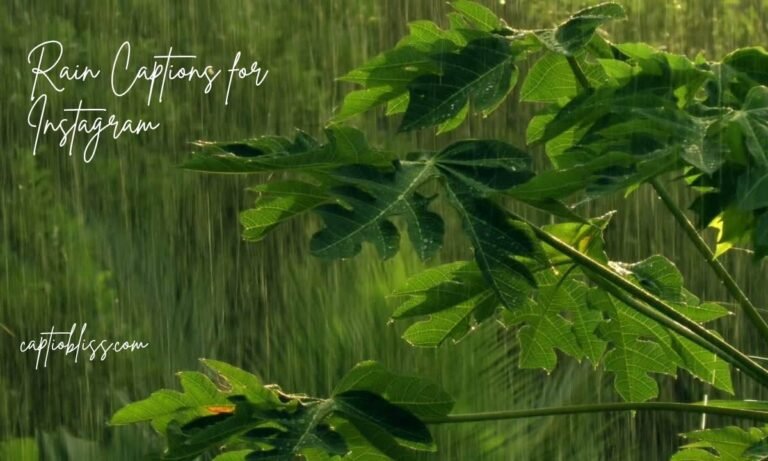 Rain Captions for Instagram