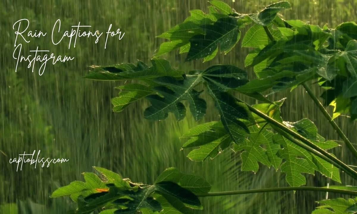 Rain Captions for Instagram